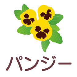 パンジーのピクトサイン 花/植物のピクト