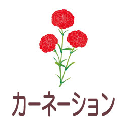 カーネーションのピクトサイン 花/植物のピクト