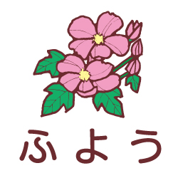 ふようのピクトサイン 花/植物のピクト