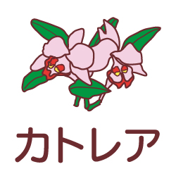 カトレアのピクトサイン 花/植物のピクト